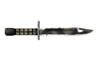 ★ Bayonet | Scorched (Well-Worn) item image