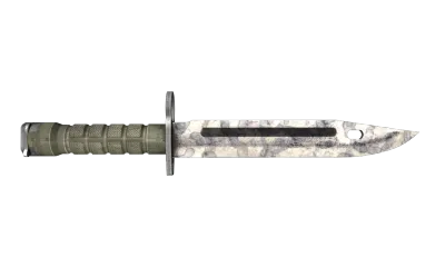 ★ Bayonet | Stained (Well-Worn) item image