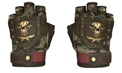 ★ Bloodhound Gloves | Guerrilla (Well-Worn) item image