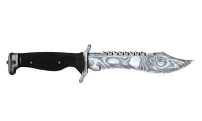 ★ Bowie Knife | Damascus Steel (Well-Worn) item image