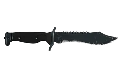 ★ Bowie Knife | Night (Well-Worn) item image