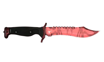 ★ Bowie Knife | Slaughter (Factory New) item image