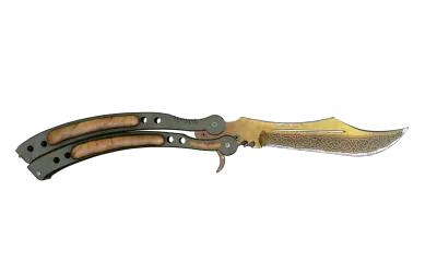 ★ Butterfly Knife | Lore (Well-Worn) item image