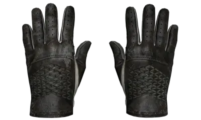 ★ Driver Gloves | Black Tie (Well-Worn) item image