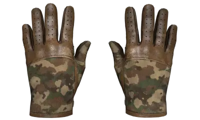 ★ Driver Gloves | Convoy (Well-Worn) item image