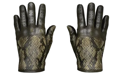 ★ Driver Gloves | Diamondback (Well-Worn) item image