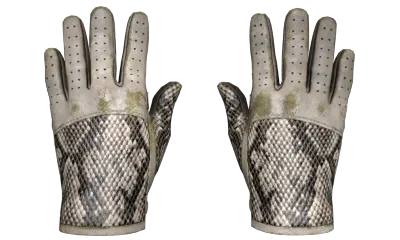 ★ Driver Gloves | King Snake (Well-Worn) item image