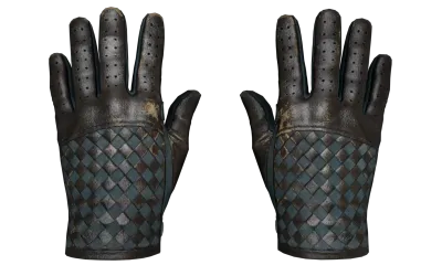 ★ Driver Gloves | Lunar Weave (Well-Worn) item image