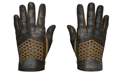 ★ Driver Gloves | Overtake (Well-Worn) item image