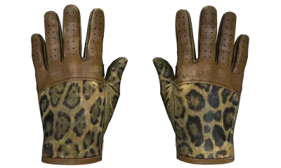 ★ Driver Gloves | Queen Jaguar (Well-Worn) item image