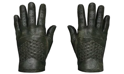 ★ Driver Gloves | Racing Green (Well-Worn) item image