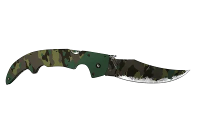 ★ Falchion Knife | Boreal Forest (Well-Worn) item image