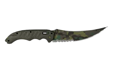 ★ Flip Knife | Boreal Forest (Well-Worn) item image