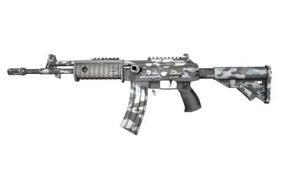 Galil AR | Winter Forest (Factory New) item image