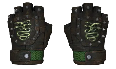 ★ Hydra Gloves | Emerald (Well-Worn) item image