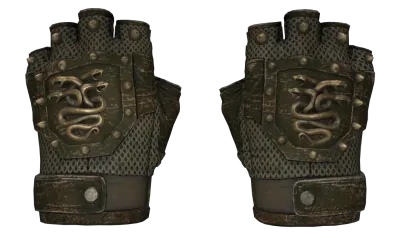 ★ Hydra Gloves | Mangrove (Well-Worn) item image
