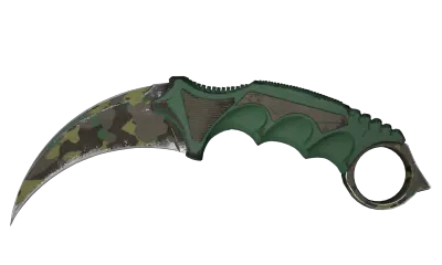 ★ Karambit | Boreal Forest (Well-Worn) item image