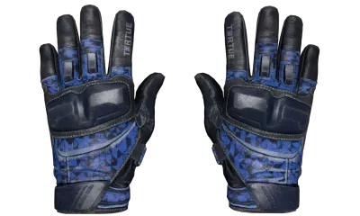 ★ Moto Gloves | Polygon (Well-Worn) item image