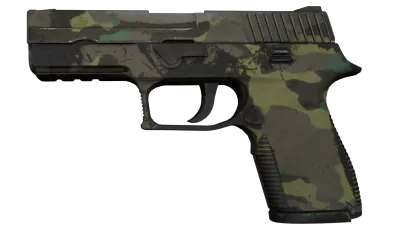 P250 | Boreal Forest (Well-Worn) item image