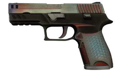 P250 | Cyber Shell (Well-Worn) item image