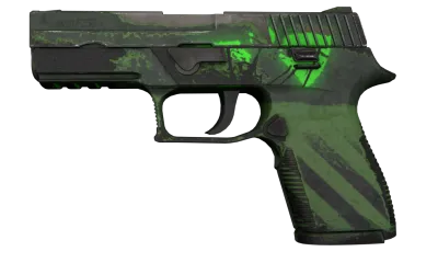 P250 | Nuclear Threat (Well-Worn) item image