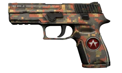 P250 | Red Rock (Well-Worn) item image