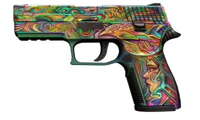 P250 | Visions (Well-Worn) item image
