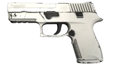 P250 | Whiteout (Field-Tested) item image