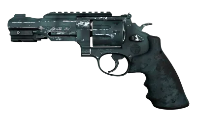 R8 Revolver | Canal Spray (Well-Worn) item image
