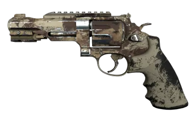 R8 Revolver | Desert Brush (Well-Worn) item image