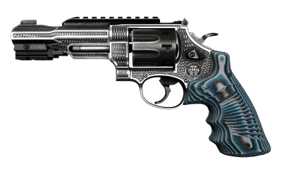 R8 Revolver | Grip (Well-Worn) item image