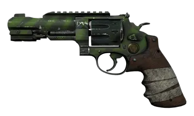 R8 Revolver | Survivalist (Well-Worn) item image