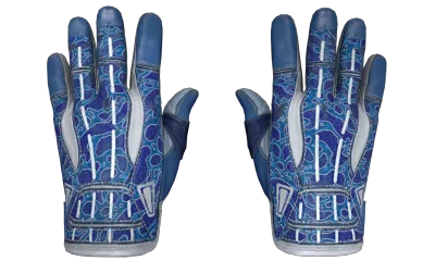 ★ Sport Gloves | Amphibious (Factory New) item image
