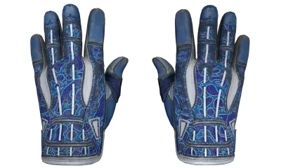 ★ Sport Gloves | Amphibious (Well-Worn) item image