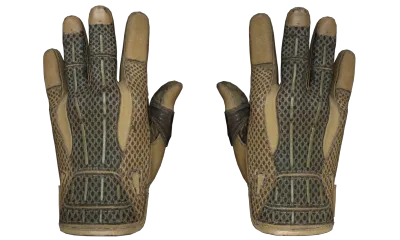 ★ Sport Gloves | Arid (Well-Worn) item image