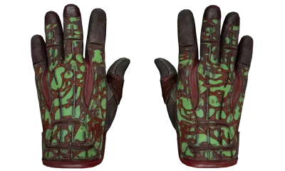 ★ Sport Gloves | Bronze Morph (Well-Worn) item image