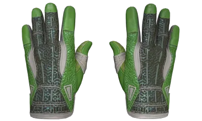 ★ Sport Gloves | Hedge Maze (Factory New) item image
