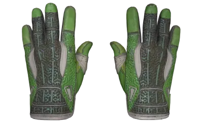★ Sport Gloves | Hedge Maze (Well-Worn) item image