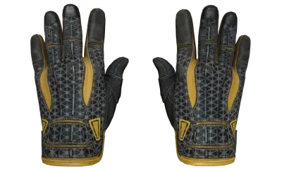 ★ Sport Gloves | Omega (Well-Worn) item image