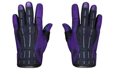 ★ Sport Gloves | Pandora's Box (Minimal Wear) item image