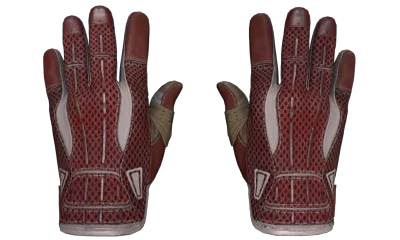 ★ Sport Gloves | Slingshot (Field-Tested) item image