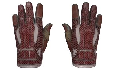★ Sport Gloves | Slingshot (Well-Worn) item image