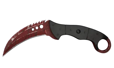 ★ StatTrak™ Talon Knife | Crimson Web (Field-Tested) item image