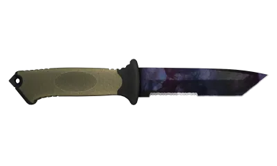 ★ StatTrak™ Ursus Knife | Doppler (Factory New) - Black Pearl item image