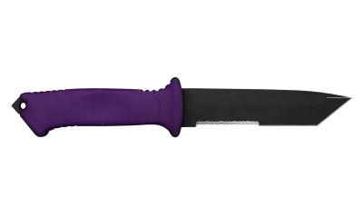 ★ StatTrak™ Ursus Knife | Ultraviolet (Well-Worn) item image