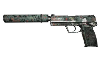 USP-S | Ancient Visions (Well-Worn) item image