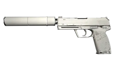 USP-S | Whiteout (Field-Tested) item image