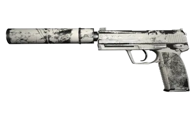 USP-S | Whiteout (Well-Worn) item image