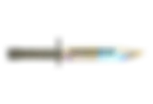 Bayonet | Case Hardened preview