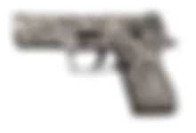 P250 | Gunsmoke preview